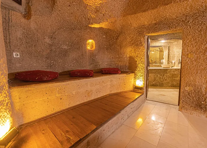 Taskonak מלון 3*